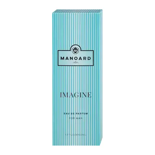 Muški parfemi MANOARD Imagine muški parfem edp 50ml